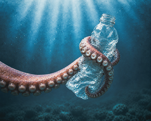 An octopus uses its soft arms to wrap around objects securely.