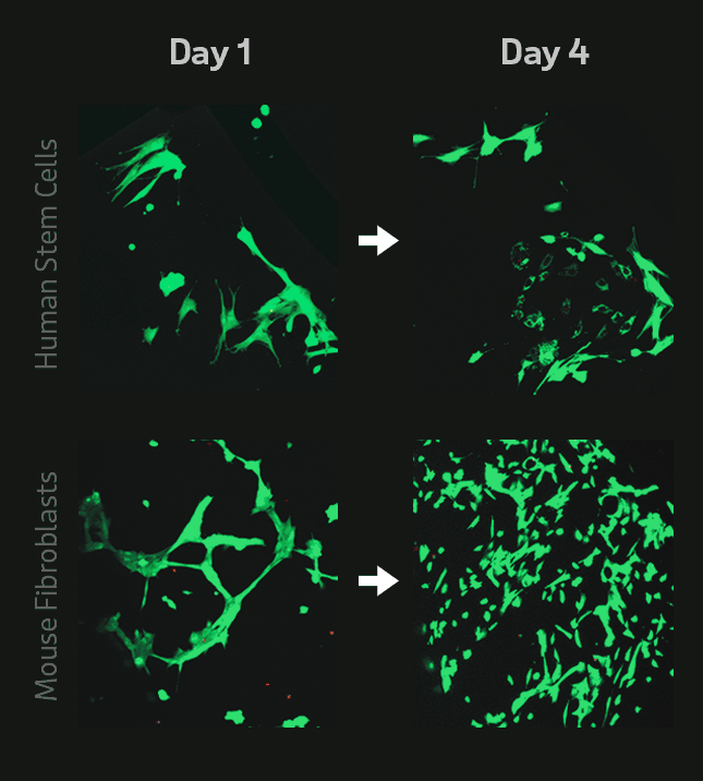 Soft hydrogel composites made with liquid metal can respond to external stimuli while supporting living cells over long periods.